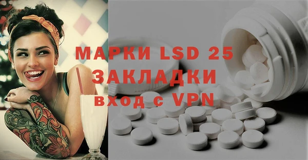 мяу мяу мука Аркадак